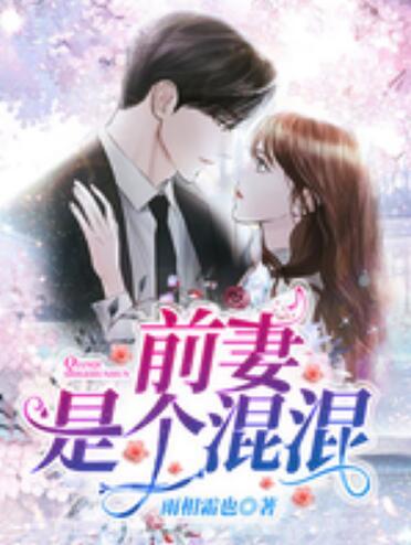 前妻是個混混封面