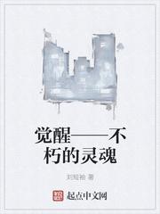 云傾晚軒轅夜封面