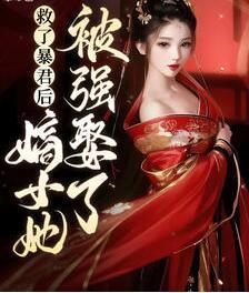 初棠司徒瑾琰小說叫什么名字封面