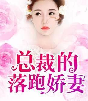 陸朝顏商冷霆小說免費封面