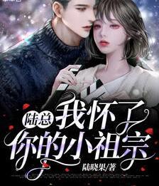 陸總，我懷了你的小祖宗封面