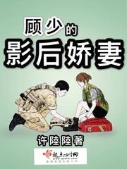 顧晚謠霍斯爵小說(shuō)封面