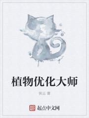 沈喬煙傅琛小說(shuō)名字叫什么封面