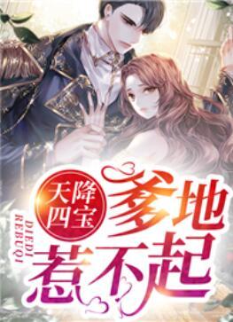 天降四寶，爹地惹不起封面
