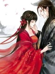 他朝兩忘煙水里封面