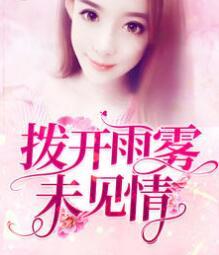 撥開雨霧未見情封面