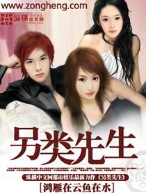 我有十個姨太太沈子清小說封面