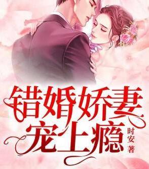 錯嫁嬌妻寵上癮小說免費(fèi)閱讀封面