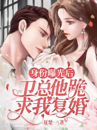 身份曝光后,衛(wèi)總他跪求我復(fù)婚全文免費(fèi)閱讀封面