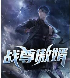 戰(zhàn)尊傲婿封面