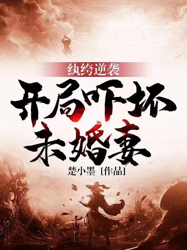 段飛流蘇楚小墨封面