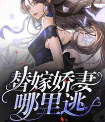 蘇小魚墨北梟封面