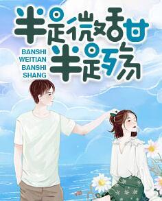 半是微甜半是殤封面