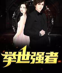 林風(fēng)蘇雅小說閱讀封面