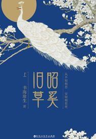 沈詩(shī)怡陸宴遲小說(shuō)免費(fèi)閱讀封面