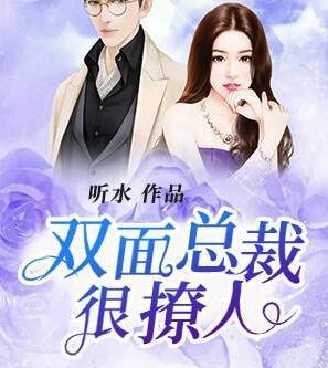 傅司夜沈星辰封面