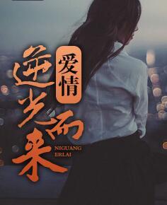 愛情逆光而來(lái)封面