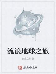 何澤初初陸言小說免費(fèi)閱讀封面