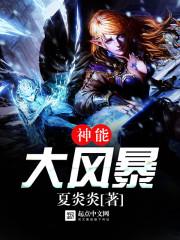 神能大風暴封面