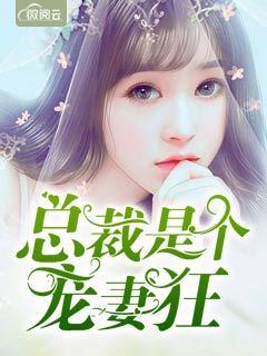 總裁是個寵妻狂封面