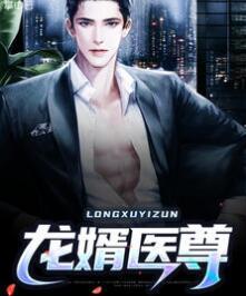 龍婿醫(yī)尊封面