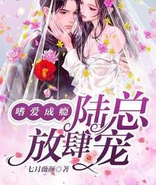 嗜愛成癮:陸總放肆寵免費閱讀封面