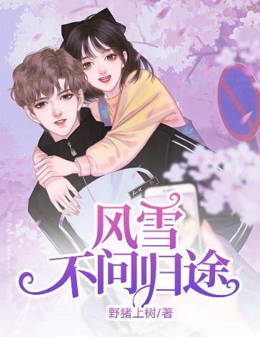 風(fēng)雪不問(wèn)歸途宋尋香陸涼莞封面