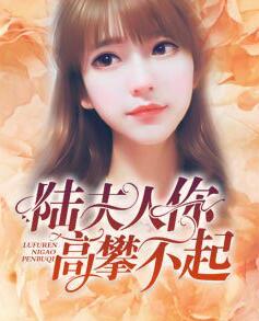 陸少前妻光芒萬丈封面