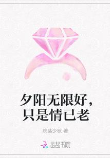 山川為紀(jì)愛無言封面