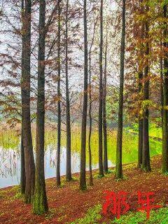 我靠賣(mài)盒飯火爆全網(wǎng)封面