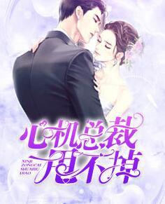 心機總裁甩不掉封面