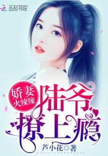 薛梨梨邢辰修封面