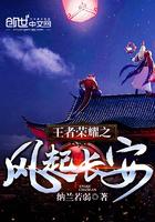 王者榮耀之風(fēng)起長(zhǎng)安封面