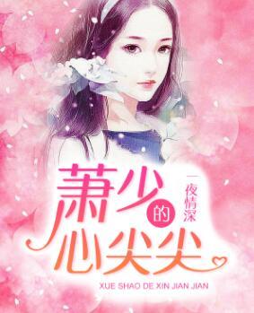一夜情深：蕭少的心尖尖封面