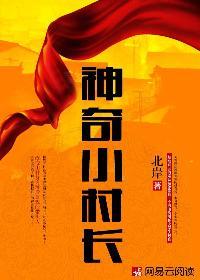 大時(shí)代之重回2000小說封面