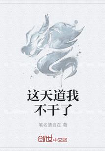 這天道我不干了封面