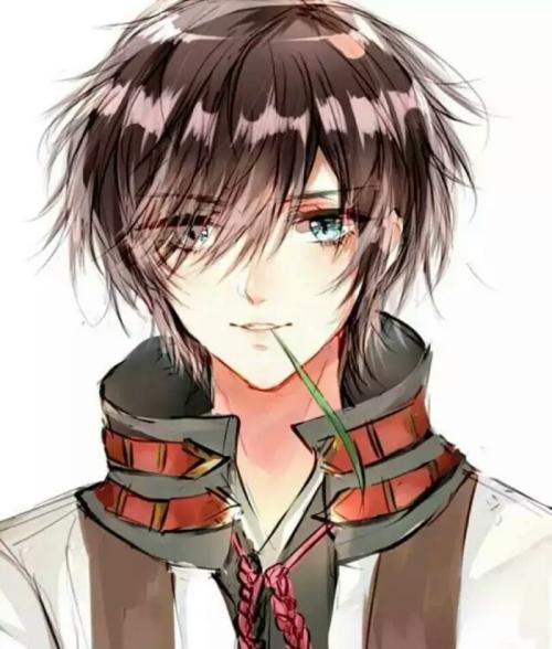 程闕之商未晚封面