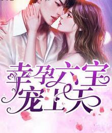 天降萌寶寵爆了封面