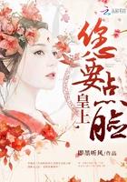 皇上他臉厚比城墻封面