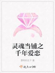 盛琉璃閻景淵小說(shuō)封面