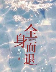 全身而退小說封面