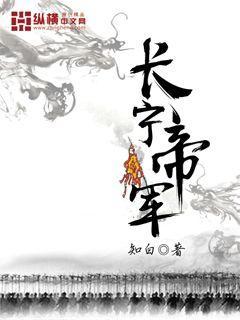 長寧帝軍封面