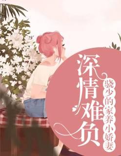 吾愛，深藏心底封面