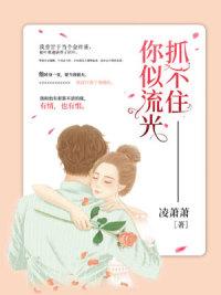 你似流光抓不住封面