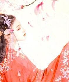 神醫(yī)小毒后封面