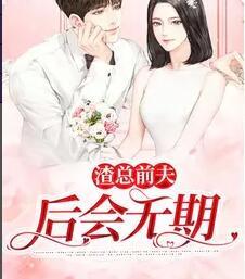 沈安白傅蕭衍小說在線全文免費閱讀封面