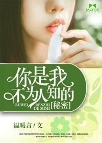 律師愛(ài)戀封面