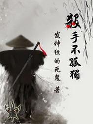 殺手不孤獨(dú)封面