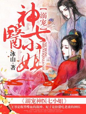 小說林微夏程亦風(fēng)封面