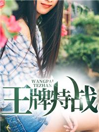 王牌守夜人葉新封面